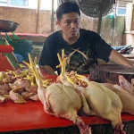 Harga Daging Ayam di Lubuk Linggau