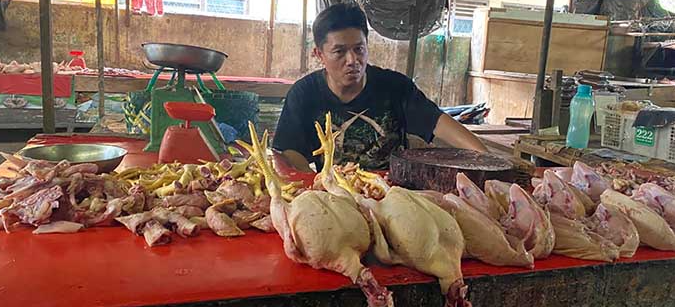 Harga Daging Ayam di Lubuk Linggau
