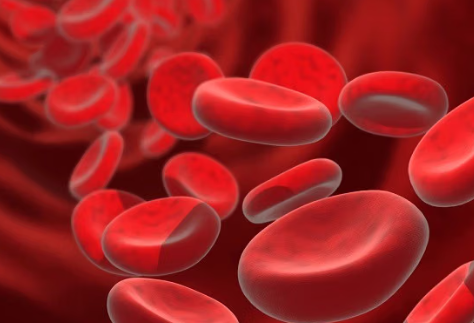 Apa Itu Anemia